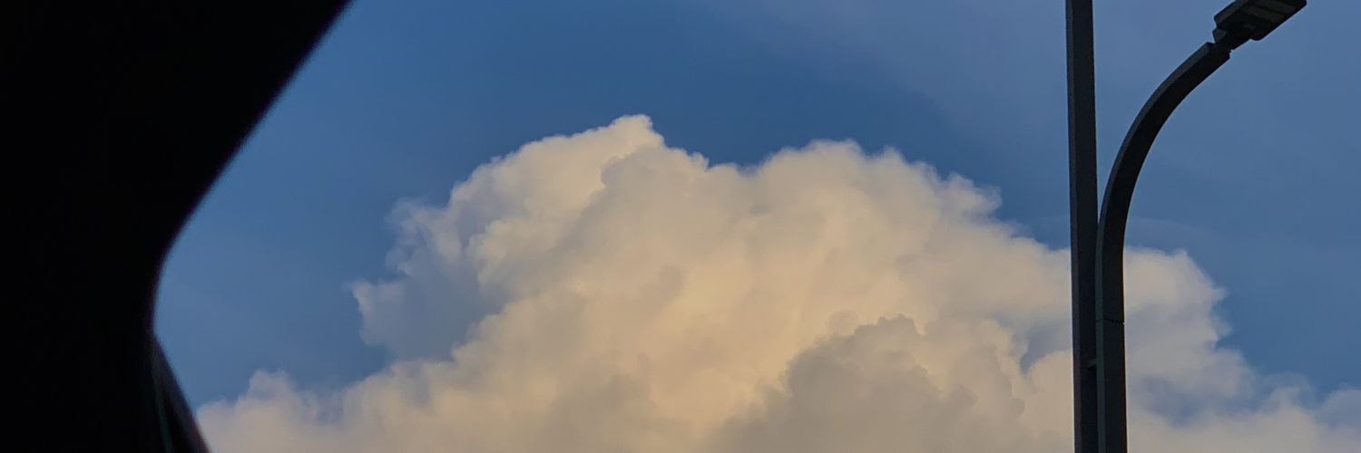 WZQSNN's profile banner image