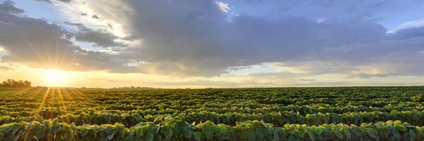 bpringnitz Profile Banner