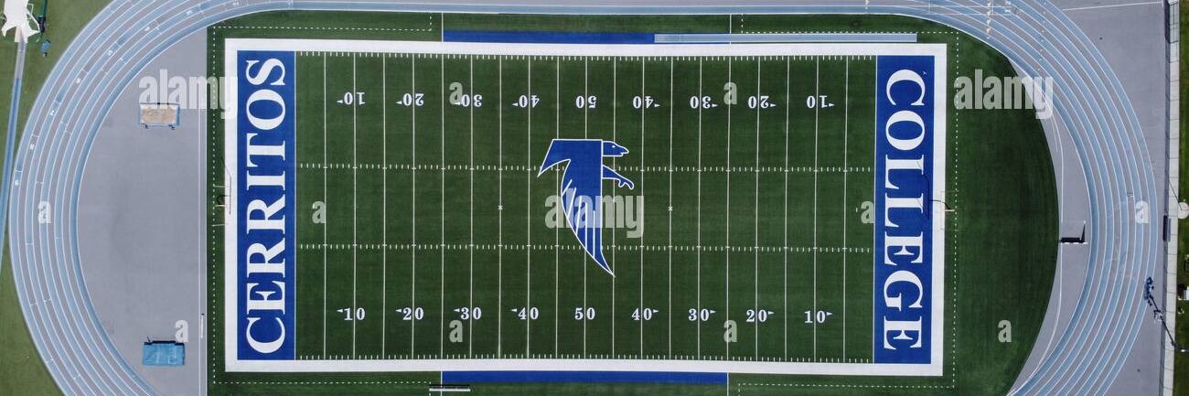 Brandon Caldarella banner