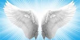 fieldhouse13's profile banner image