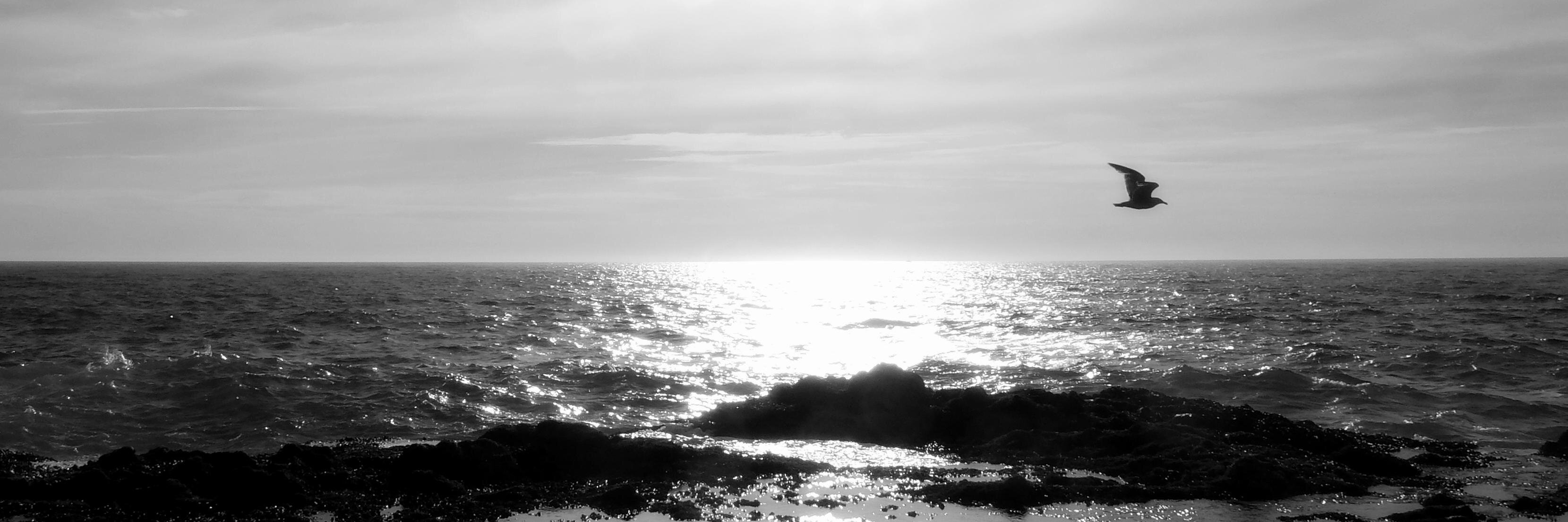 _kuzminskiy's profile banner image