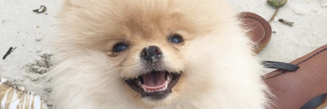 AlannaMScott's profile banner image