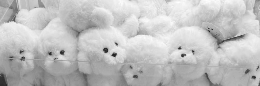 たまにいる🐩🐩🐩miyuu🐕🐕🐕 banner