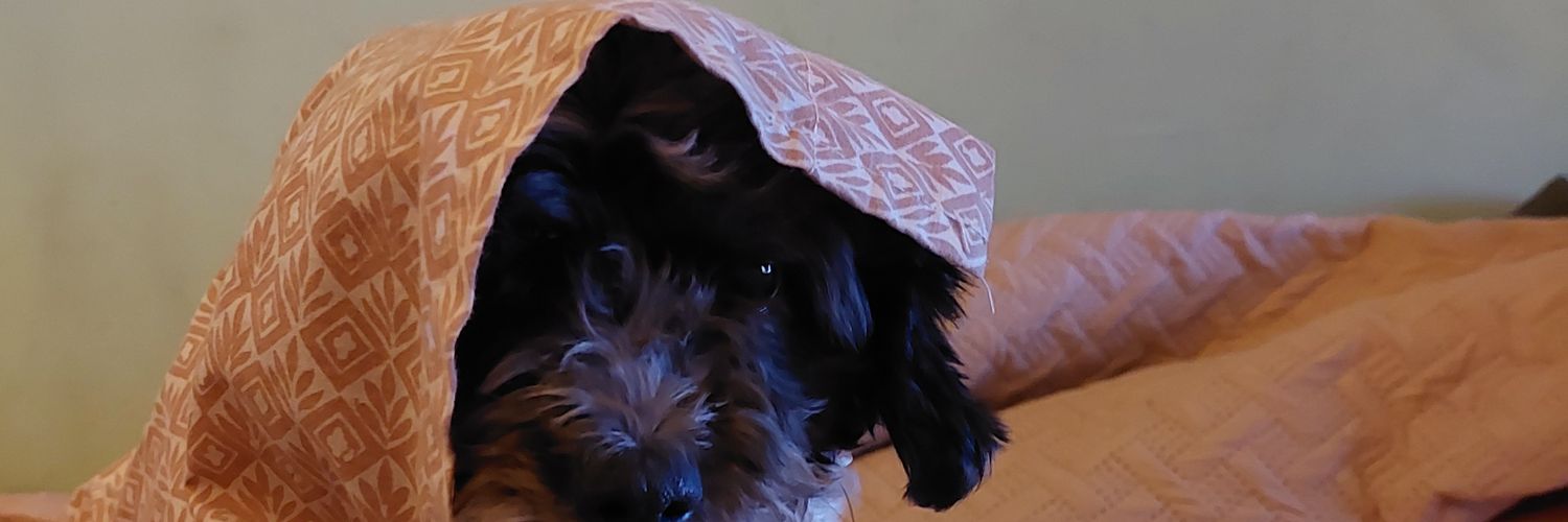 Isabelff19's profile banner image