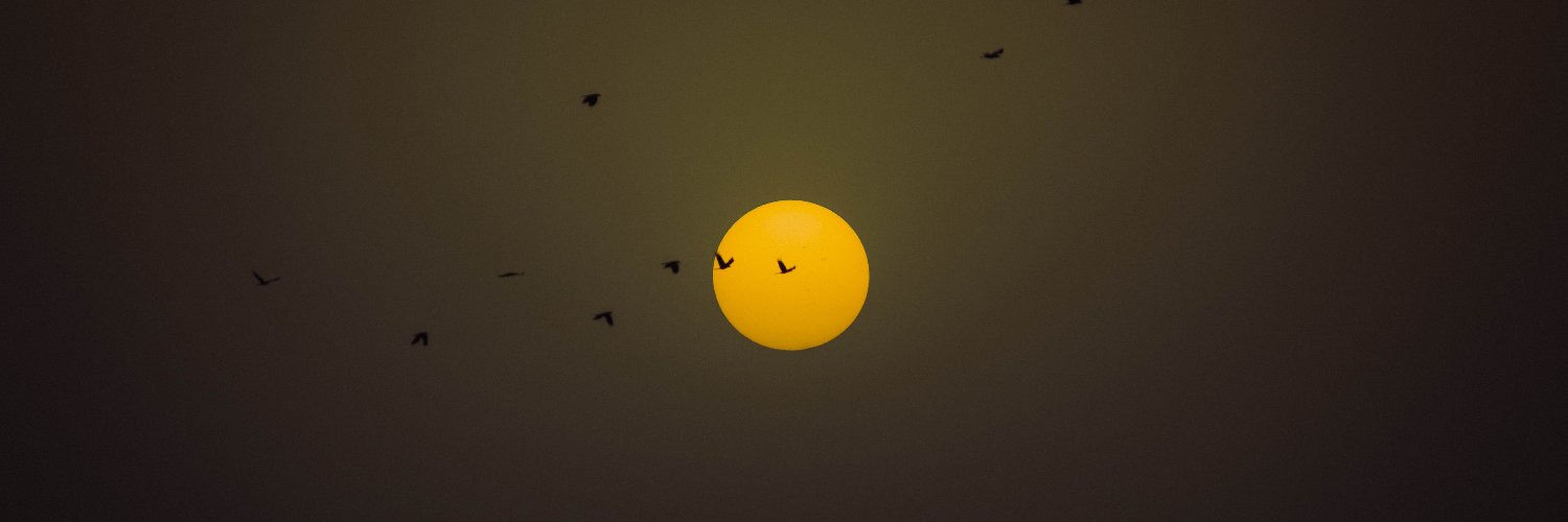 DavidMT87's profile banner image