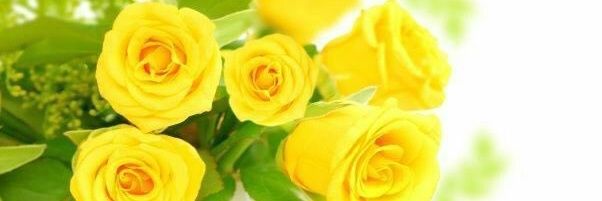ود الشيخ banner