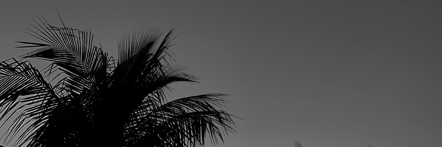 ojoaovitormelo banner