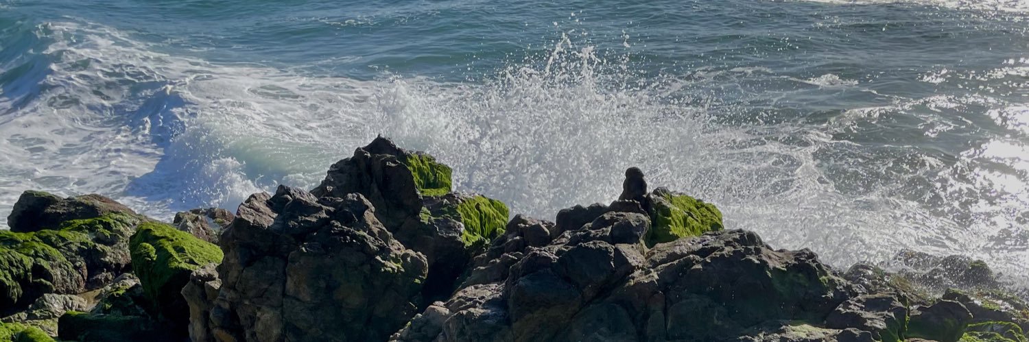 lino_dz's profile banner image