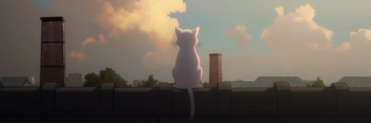 lizzib3's profile banner image