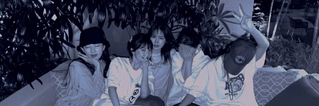 🍉 banner