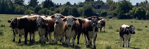 JaiRawal12 Profile Banner