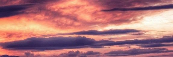 shauniebutler banner