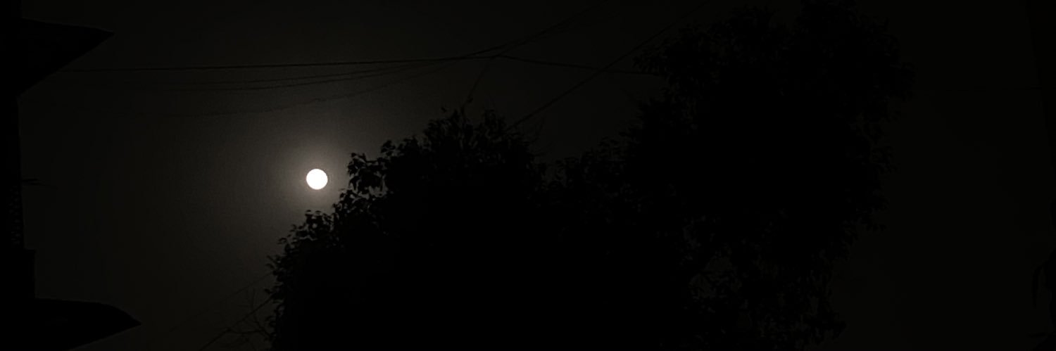 MalishkaPatel's profile banner image