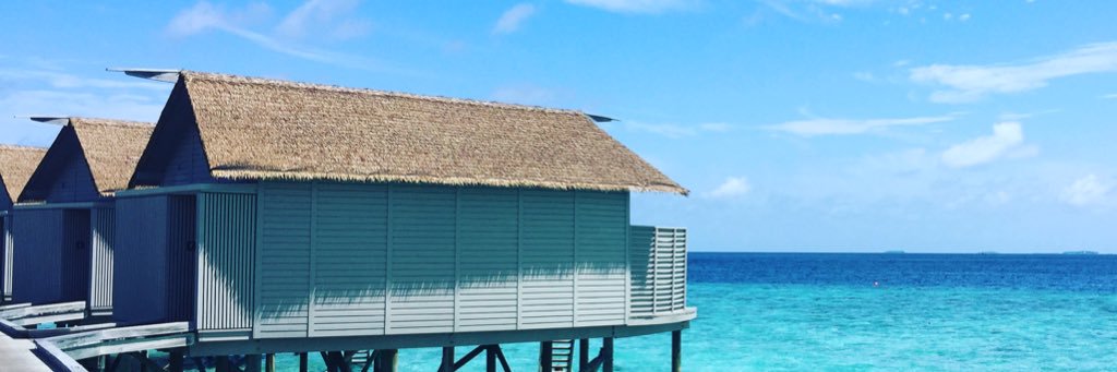 Jack_Trevisick's profile banner image