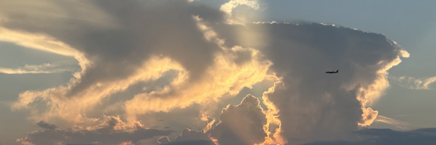 miquelsl's profile banner image