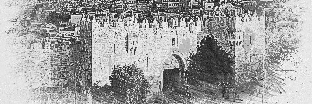 Burn_e_🎗️ banner