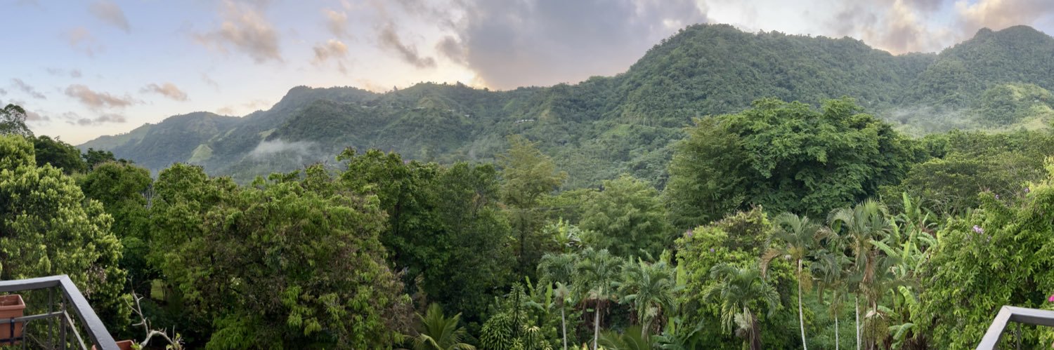 Alba Azola, MD banner