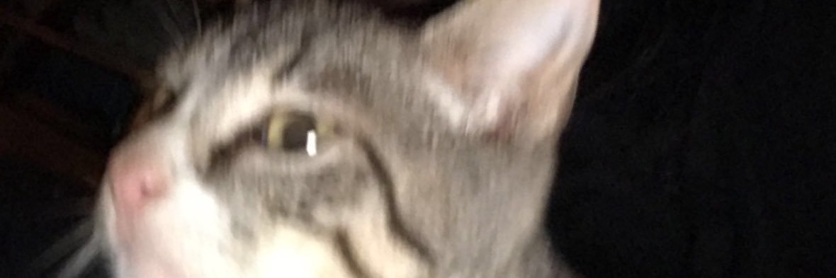 aintslickvick's profile banner image