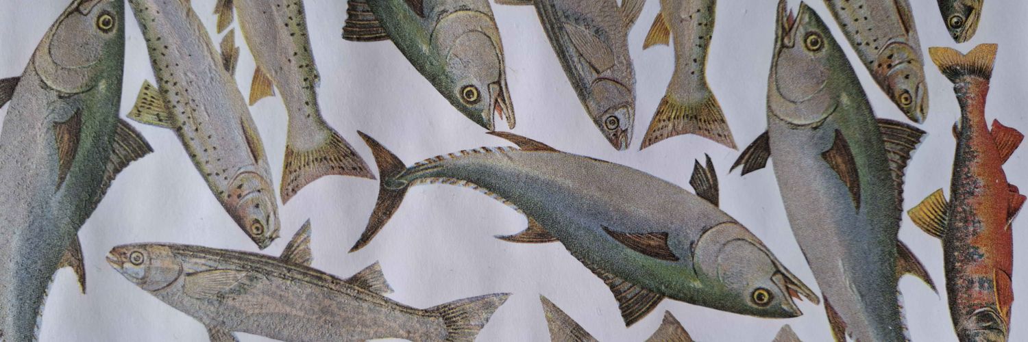 Karp🍉TEAM CRYSTALS banner