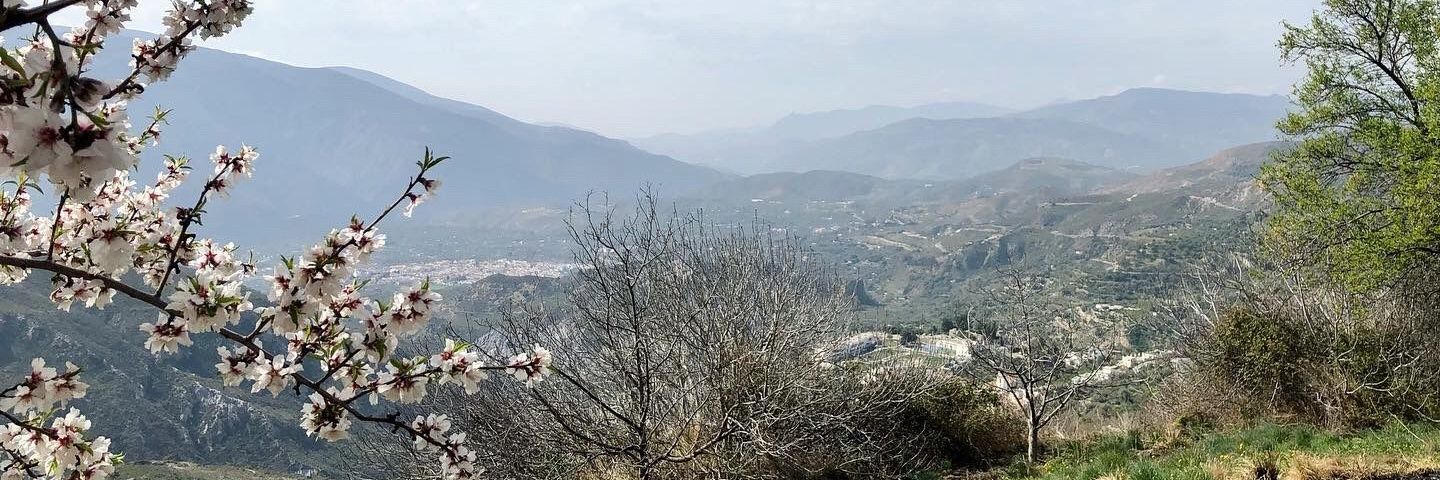 Deep_Moon banner