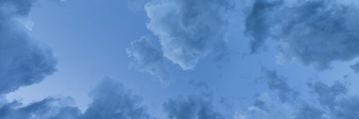 Im Back banner