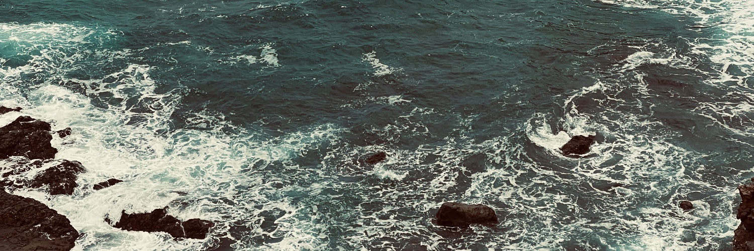 Pablo Reboiro banner