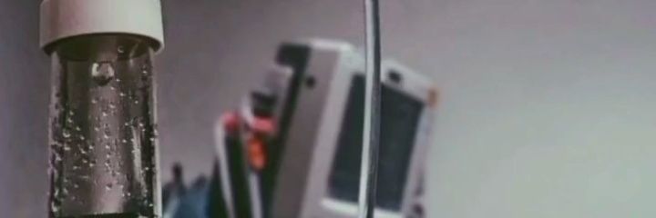 larissauroo's profile banner image