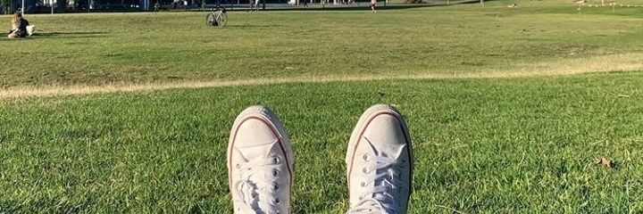 helolly's profile banner image