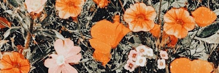 YBWNcCeiUrP9Cip's profile banner image