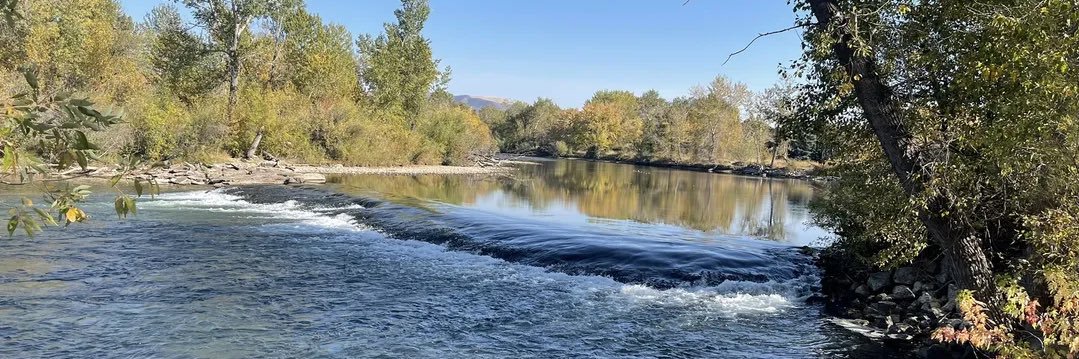 Mahmood Sheikh banner