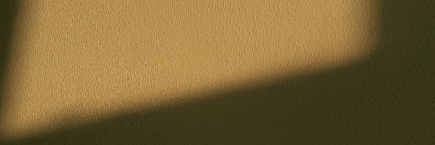kintanumari's profile banner image