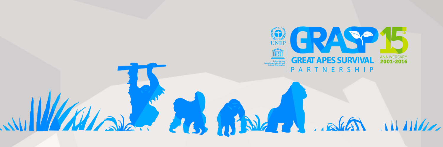 GRASP - Great Apes banner