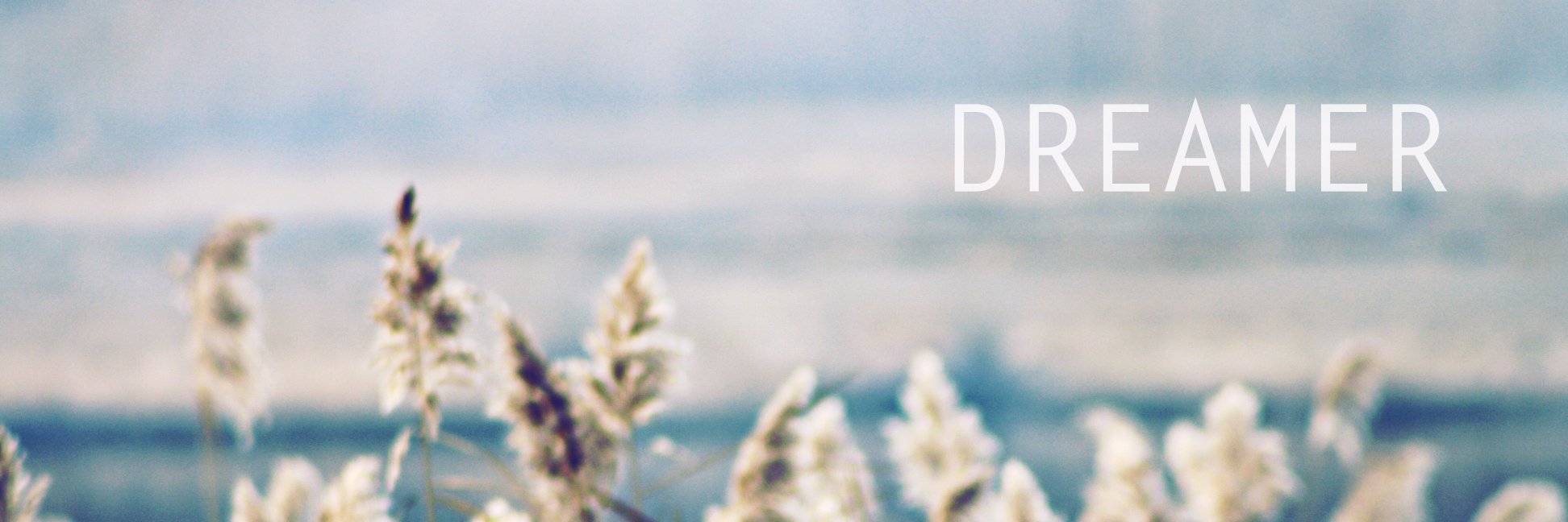 yogiaulia's profile banner image