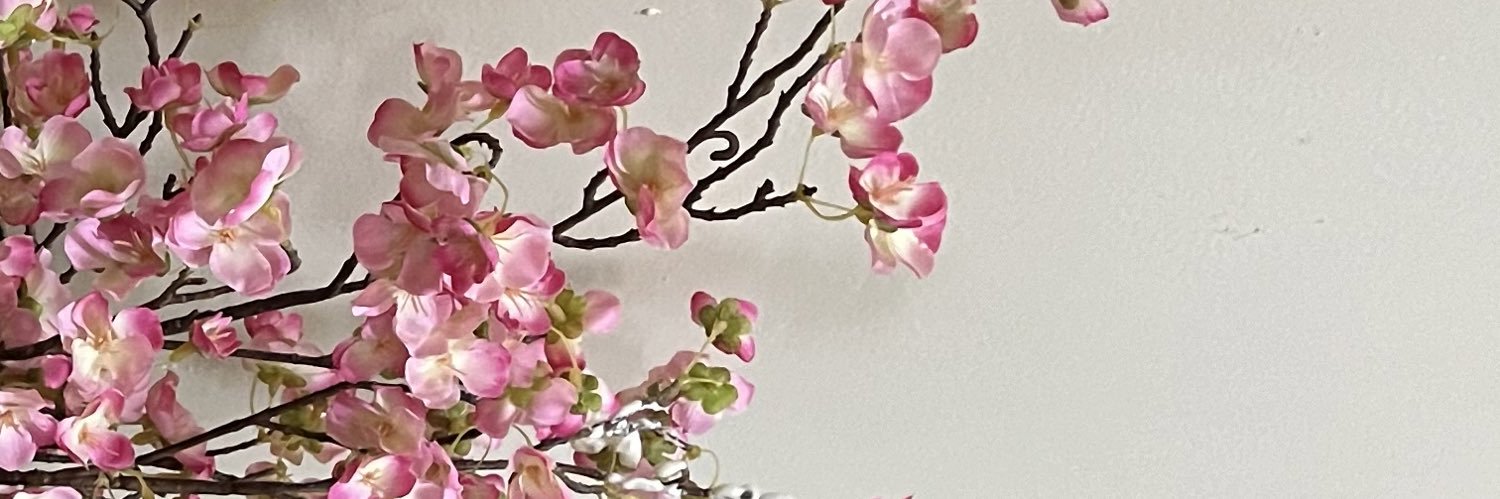hss151's profile banner image
