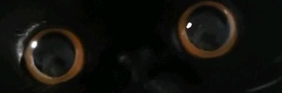 Red Eyes. banner