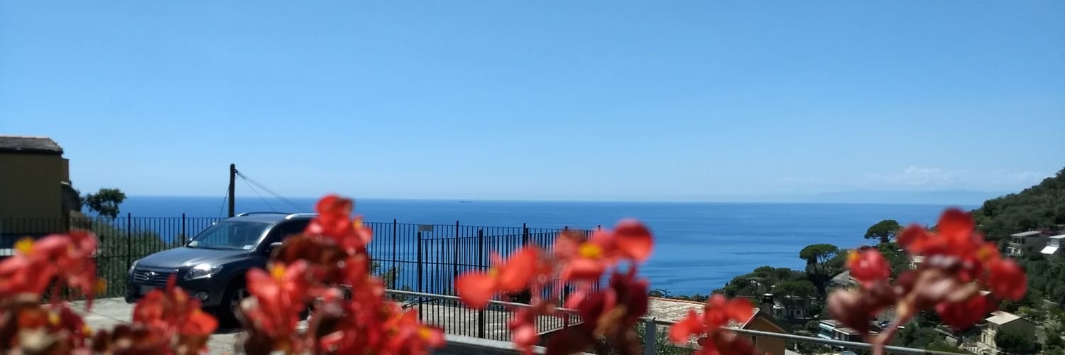 Baretto_Megli's profile banner image