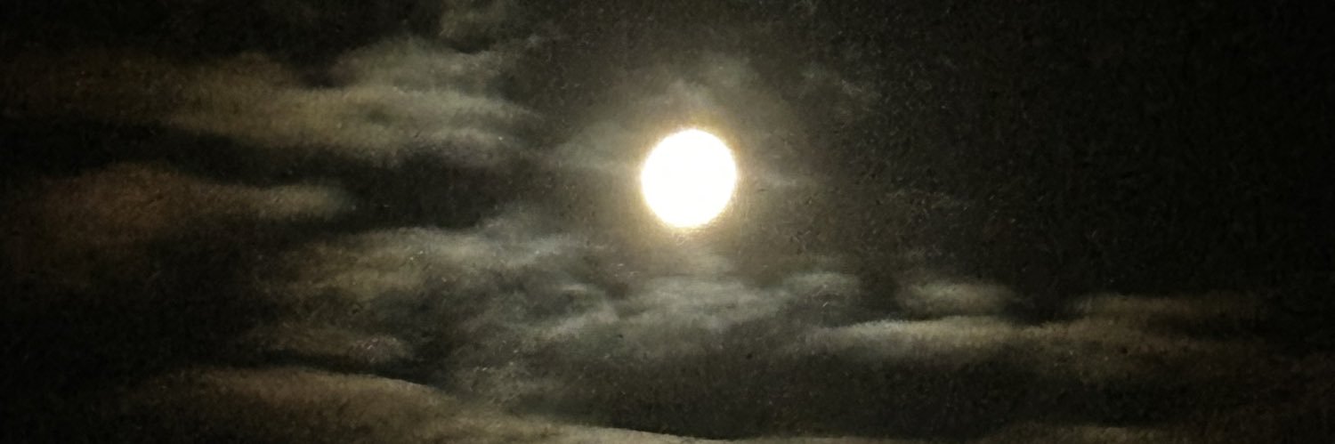 arzucelik7's profile banner image