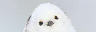 anri_gd's profile banner image