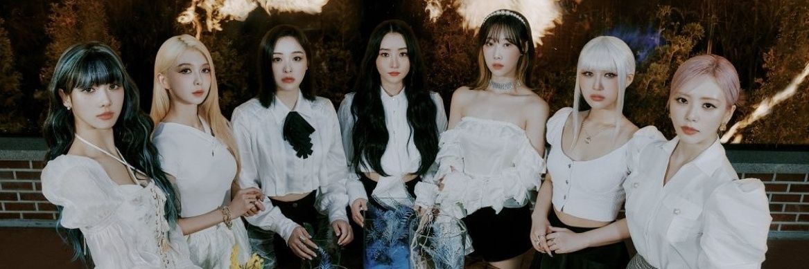 Eggies⋆.˚ ☾ .⭒˚ banner