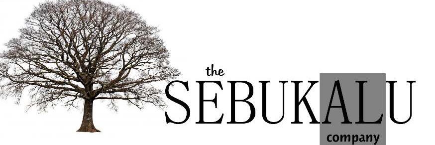 Sebukalu12's profile banner image
