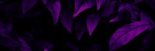 Pup Atlas banner