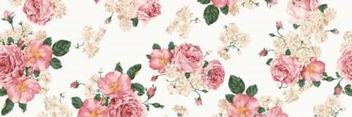 ernftrn's profile banner image