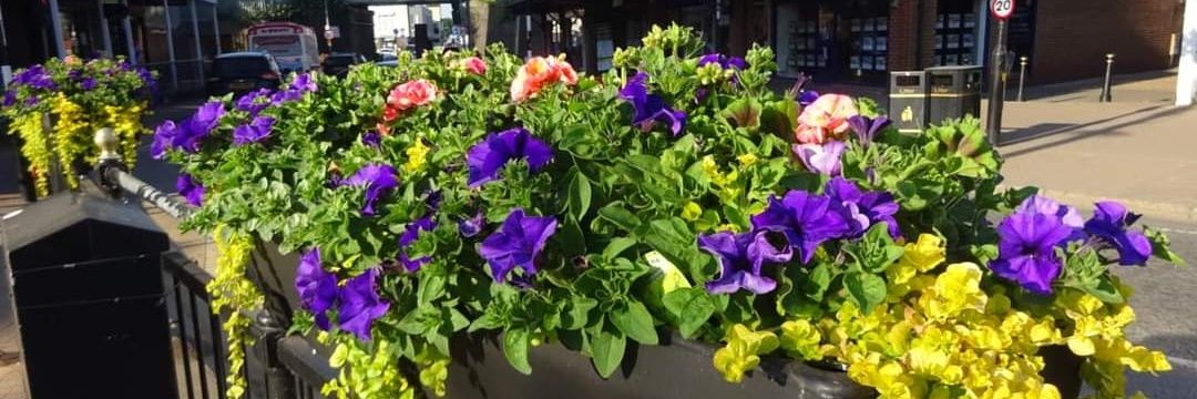 Wickford In Bloom banner