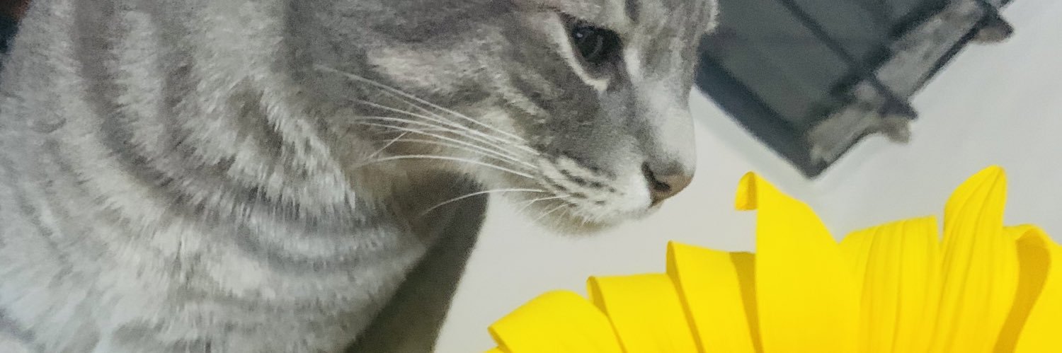LoolasRD's profile banner image