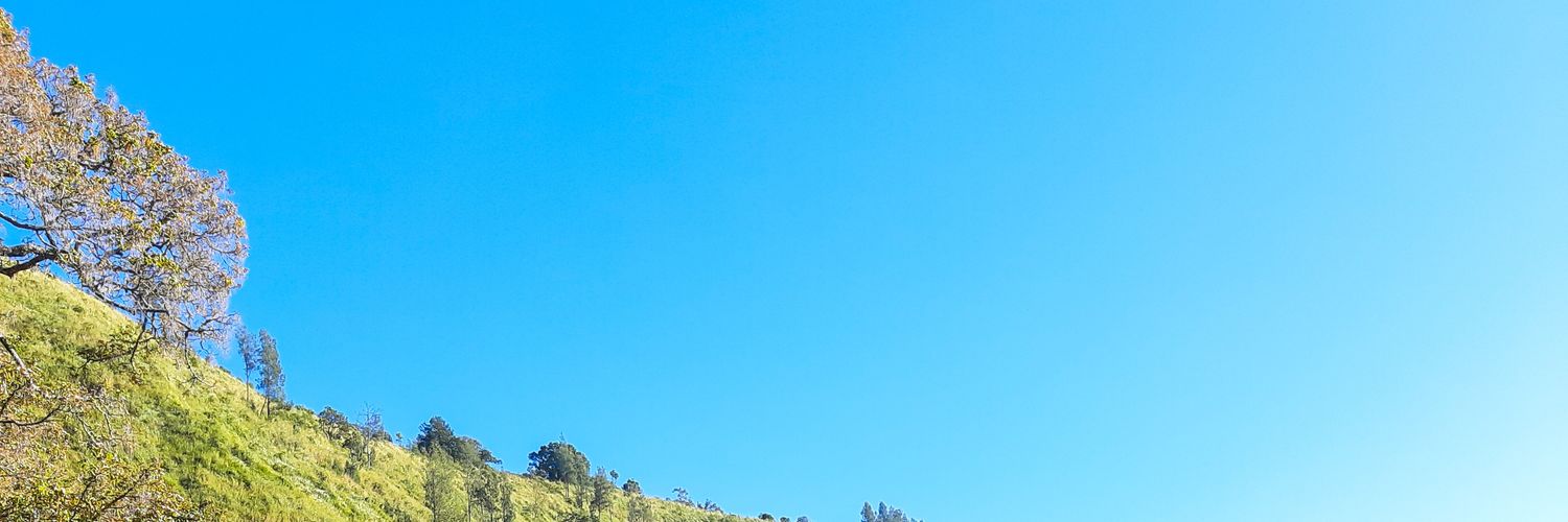 bellsbie's profile banner image
