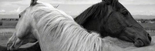 sudedem10's profile banner image