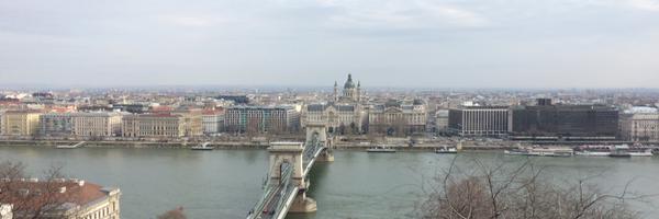 DaisyOtton Profile Banner