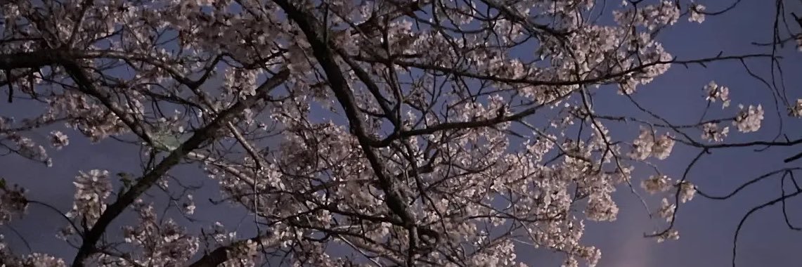 pochakko229's profile banner image