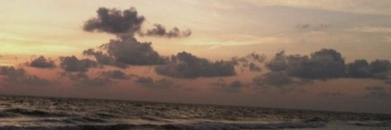 ili_t7's profile banner image