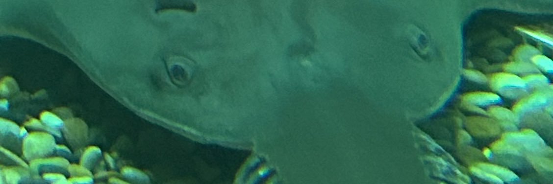 Kadi_jam's profile banner image